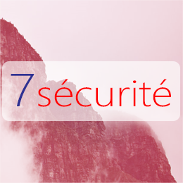 Sécurisez votre poste avec un antivirus professionnel Sécurisez votre poste avec un antivirus professionnel