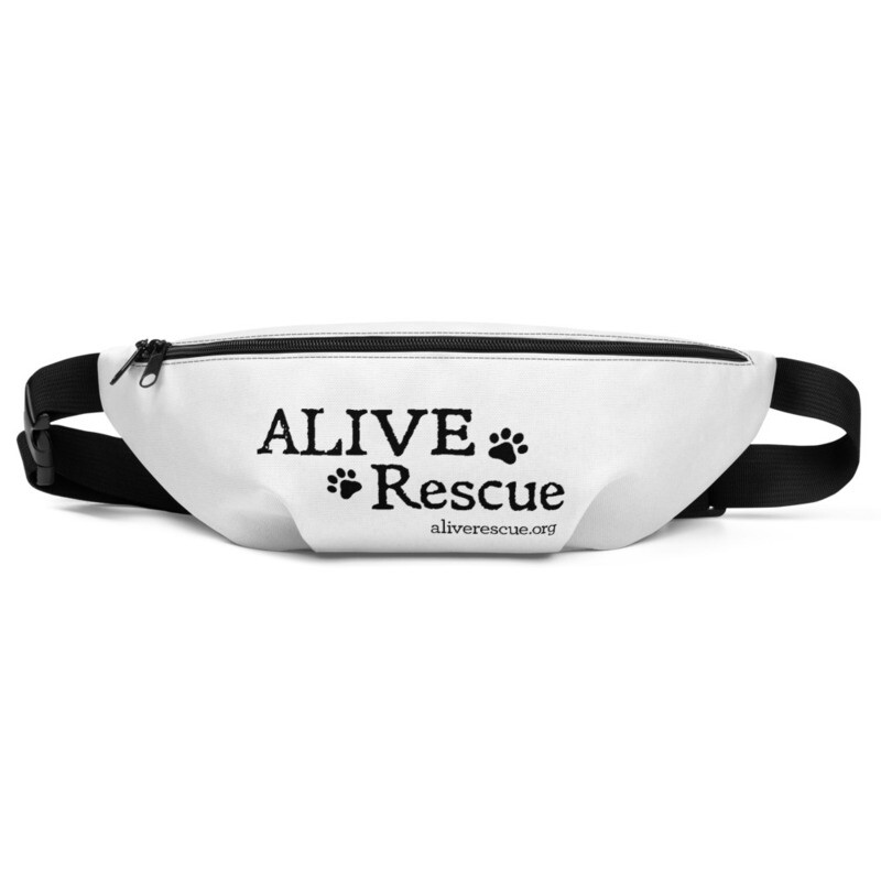 Fanny Pack