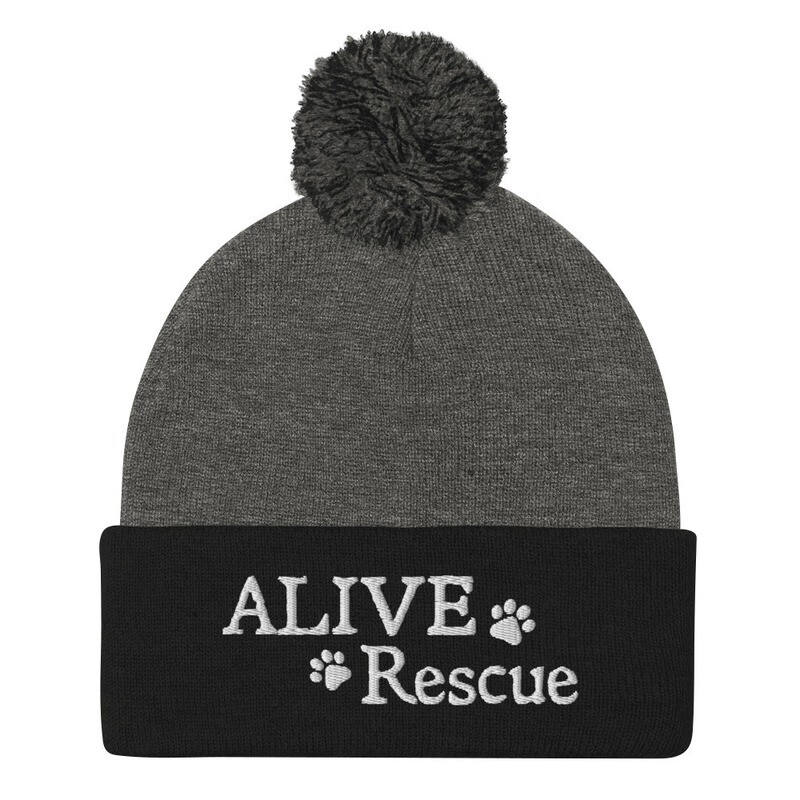 Pom-Pom Beanie