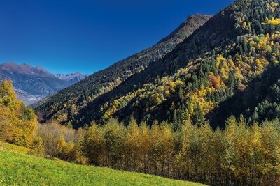 Valle Camonica