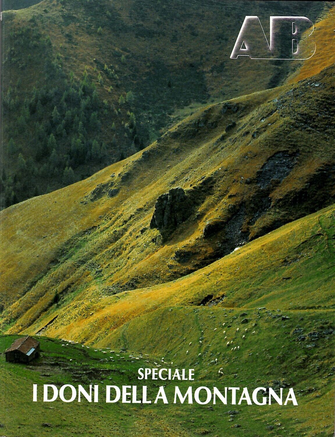 I DONI DELLA MONTAGNA