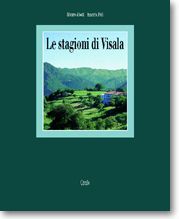 LE STAGIONI DI VISALA