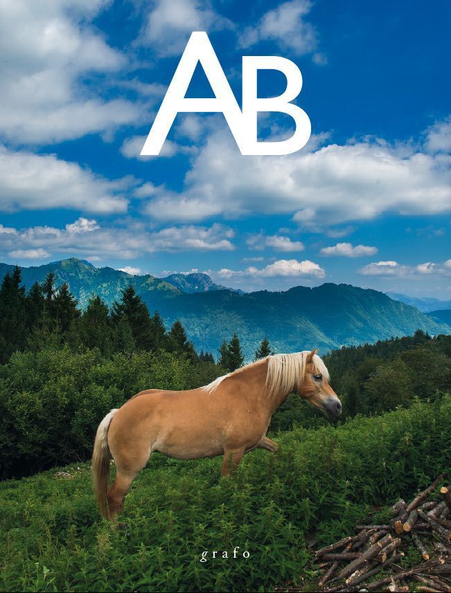 AB ATLANTE BRESCIANO - numero 124