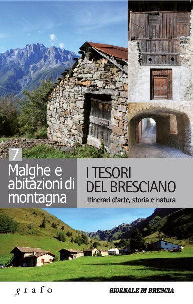 I TESORI DEL BRESCIANO - vol. 7