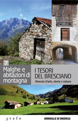 I TESORI DEL BRESCIANO - vol. 7
