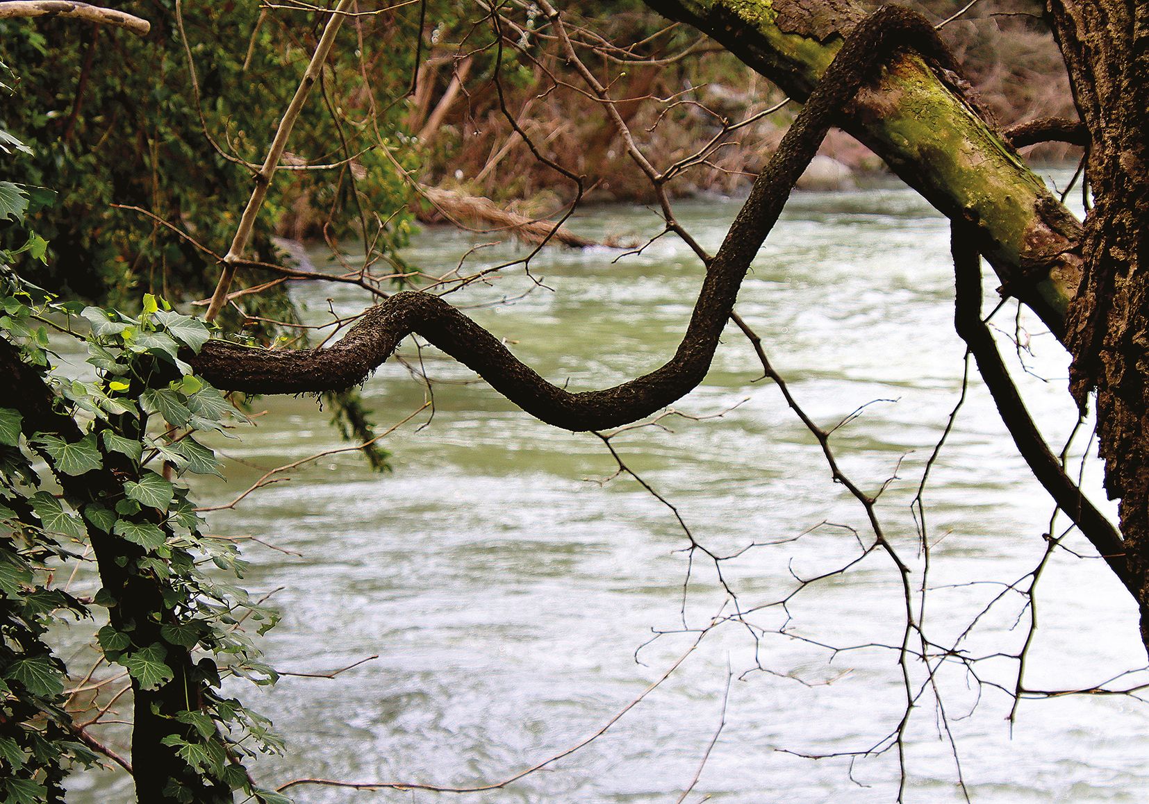 IL CHIESE. IMMAGINANDO L’ANIMA DEL FIUME