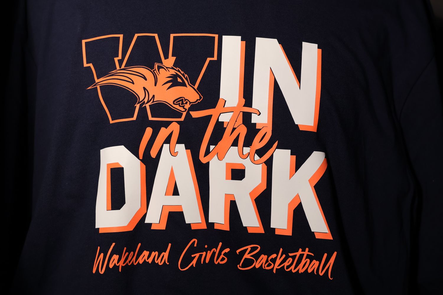 Win in the Dark and REFLECT