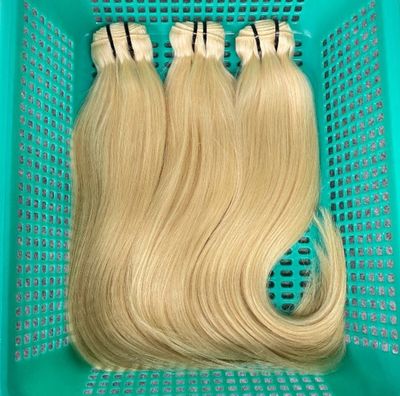 Vietnamese 613 Bundles