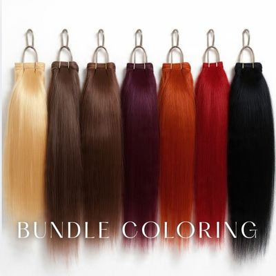 Bundle Coloring (Per bundle)