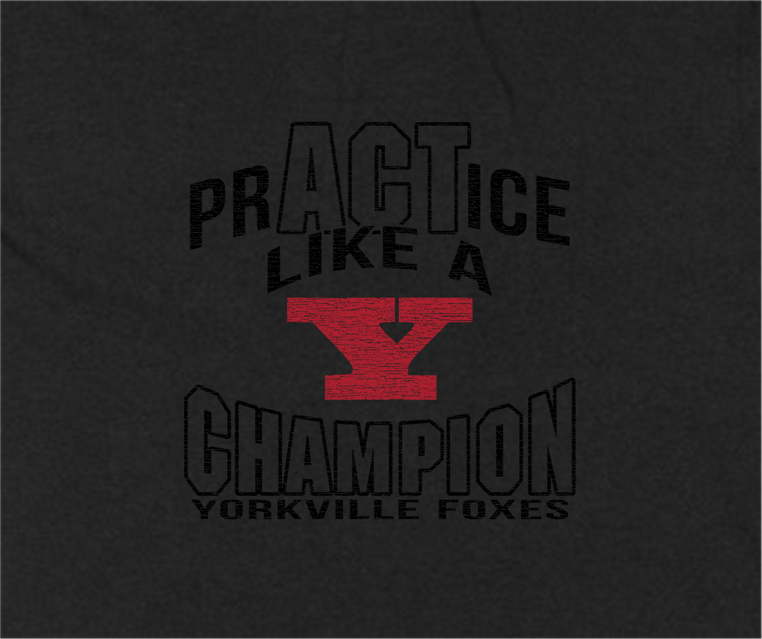 Practice Like a Champion - Long Sleeved Tee, Color: Black