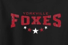 Foxes Stars - Crewneck, Color: Black