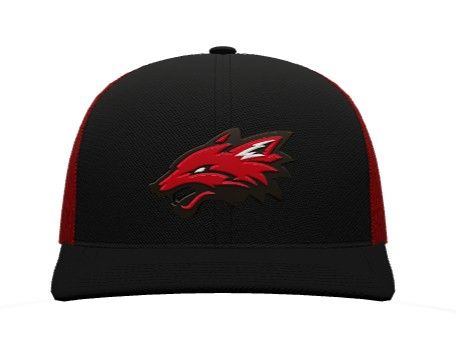 Trucker Snapback Cap