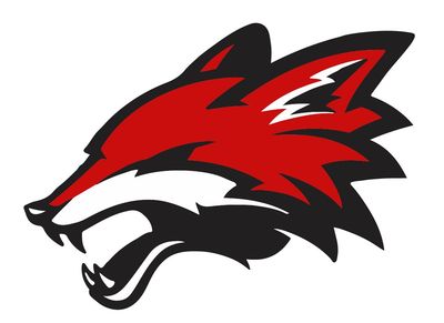 Yorkville High School