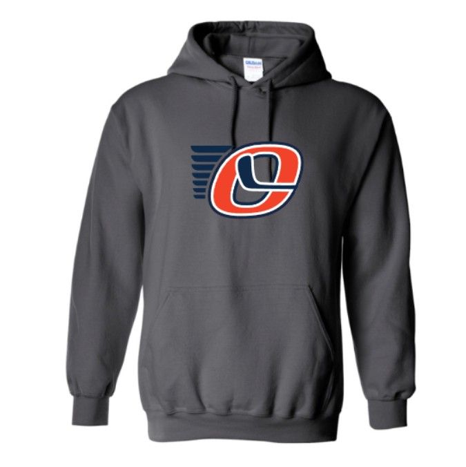 Heavy Blend™ Hooded Sweatshirt