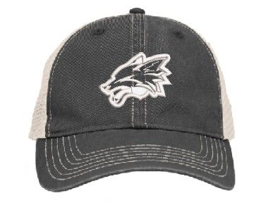 VINTAGE "DIRTY" TRUCKER SNAPBK