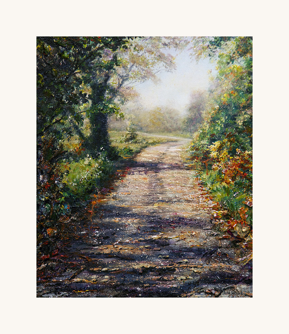 Autumn Colours