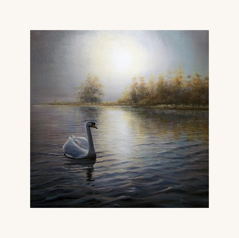 Silent Splendour
