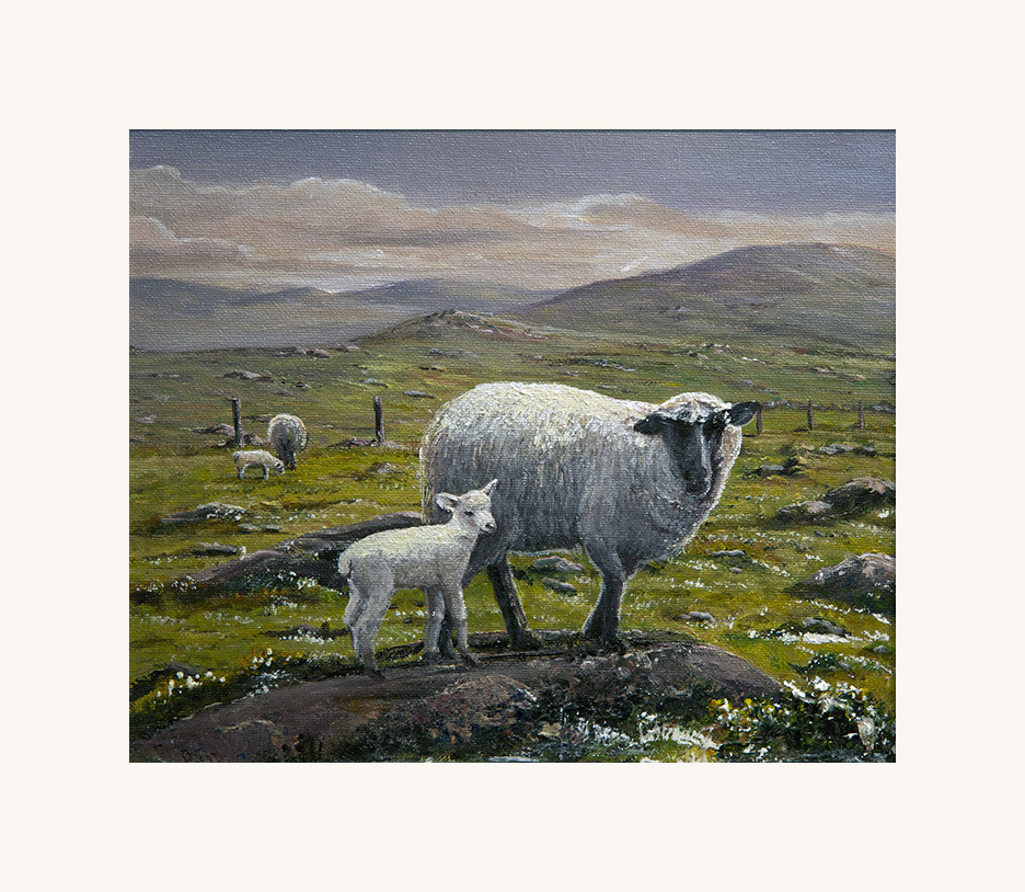 Mountain sheep (sold)