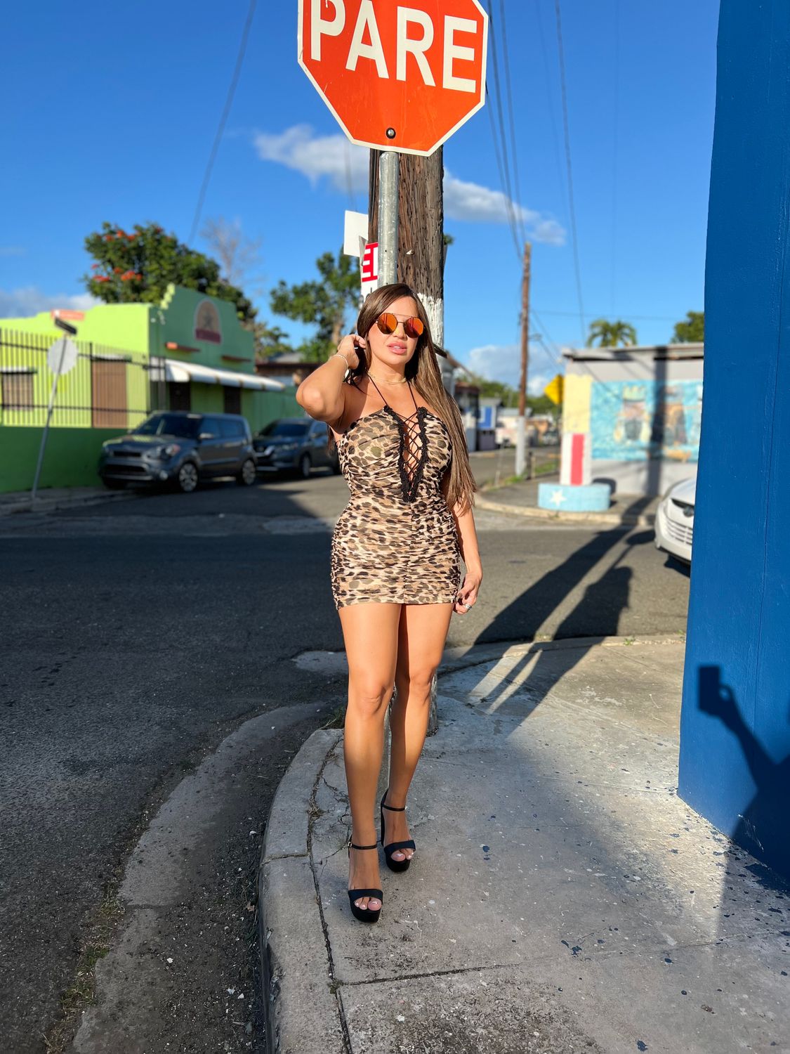 Leopard Ruched Dress