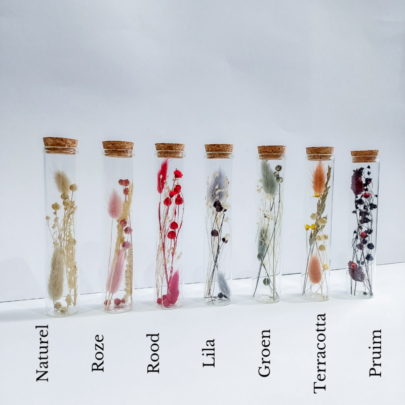 Proefbuis met droogbloemen