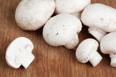 Hongos