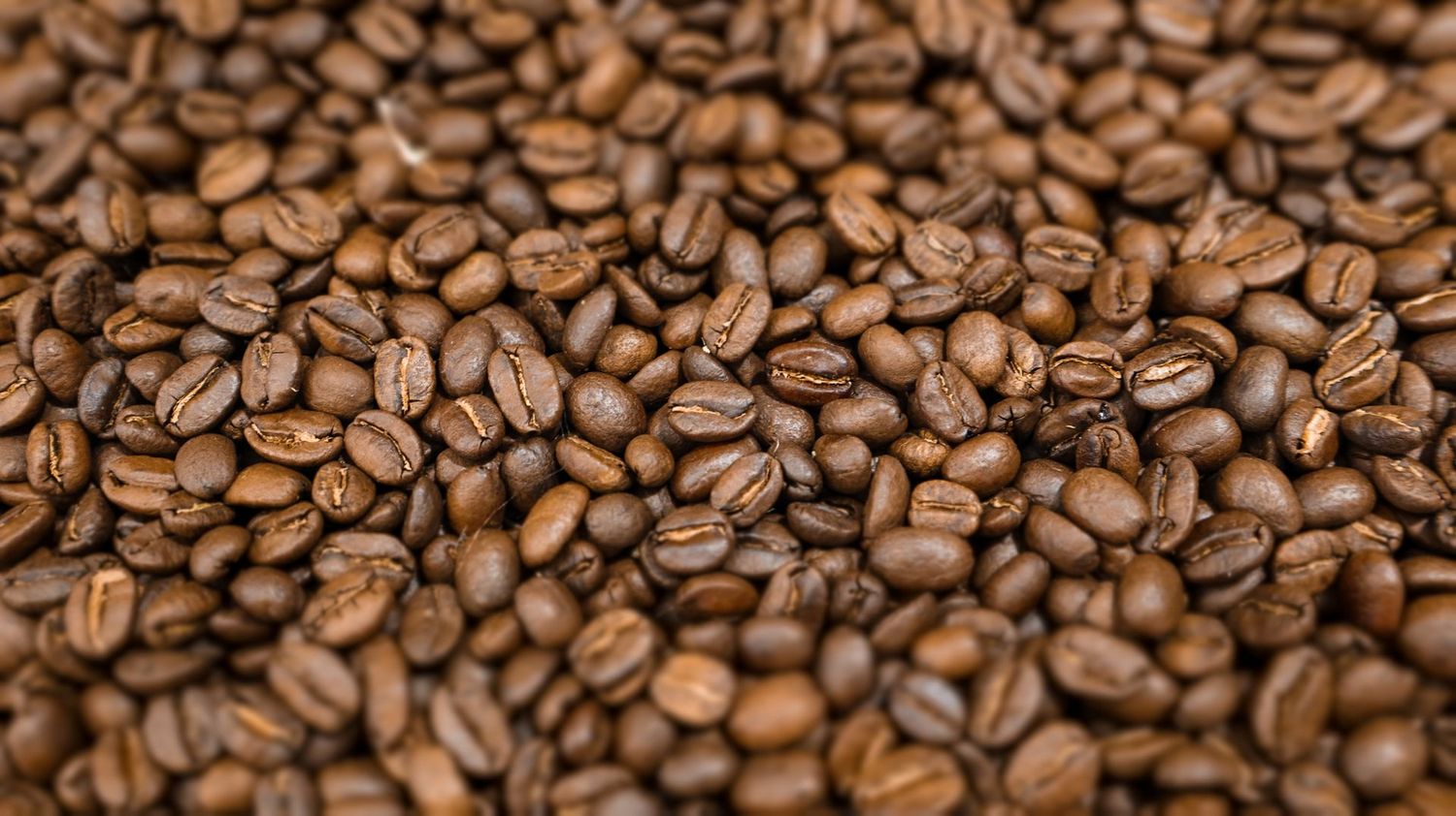 Guji Ethiopian - 16 oz.
