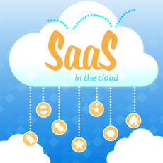 Software SaaS &amp; Cloud