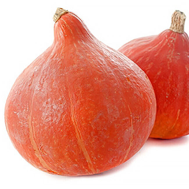 Courge Potimarron BIO / 500gr