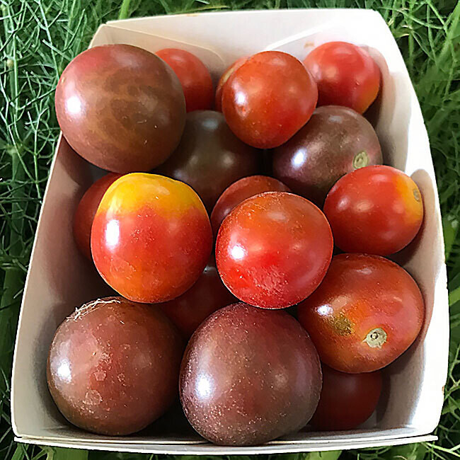 Tomate cerise mix BIO / Barquette 250 gr