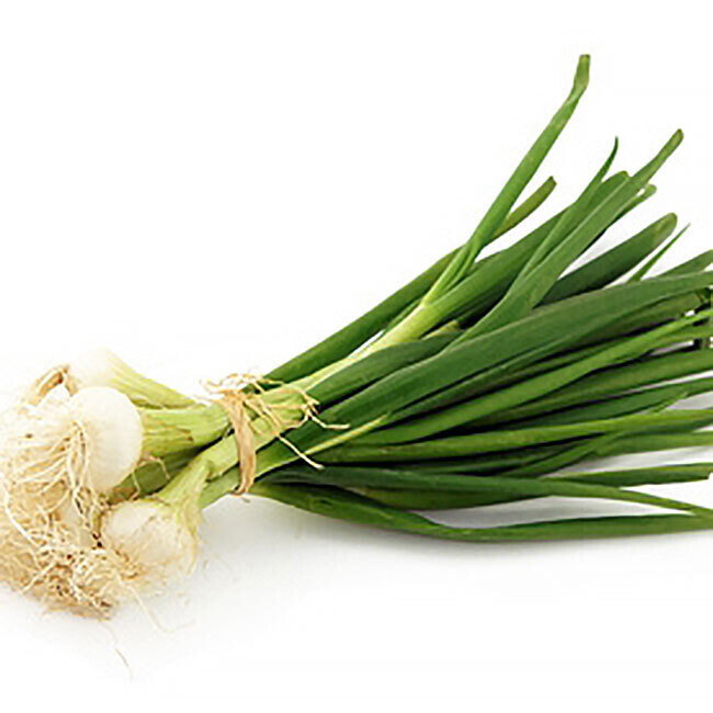 Oignon Frais BIO / en botte 250g