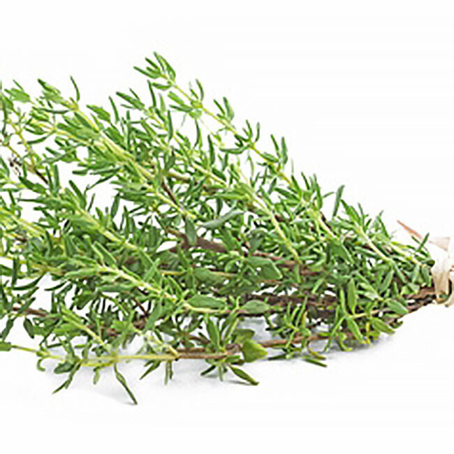 Thym BIO