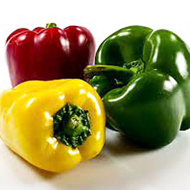 Poivron BIO vert et couleur / 500 gr