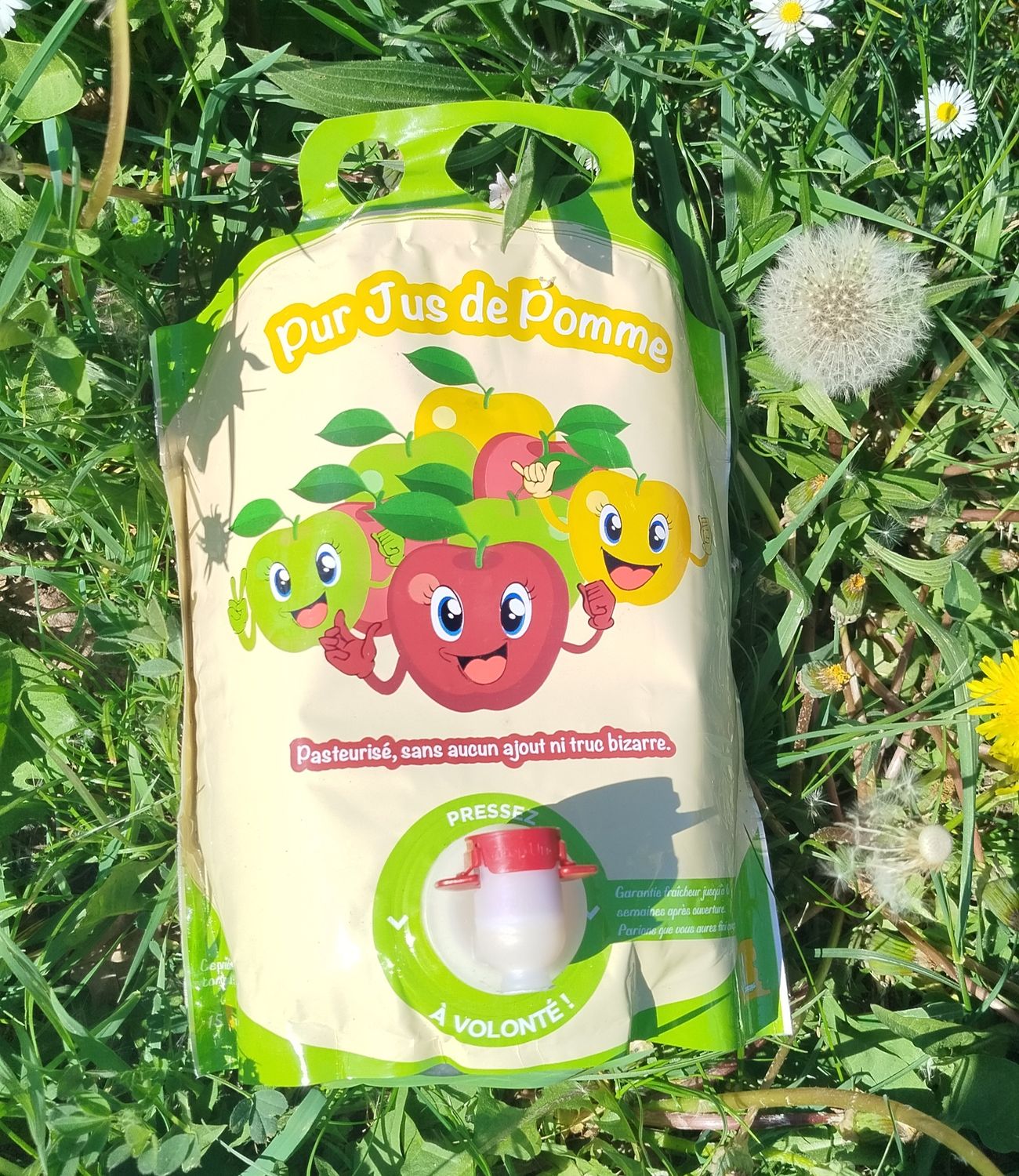 Jus de Pomme 3L