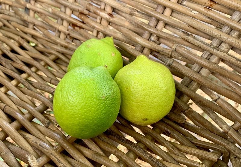 Citron BIO