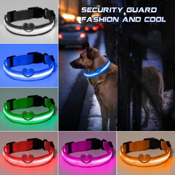 USB Charging/Battery replacement Led Dog Collar Anti-Lost Collar For Dogs Puppies Dog Collars Leads LED Supplies Pet Products