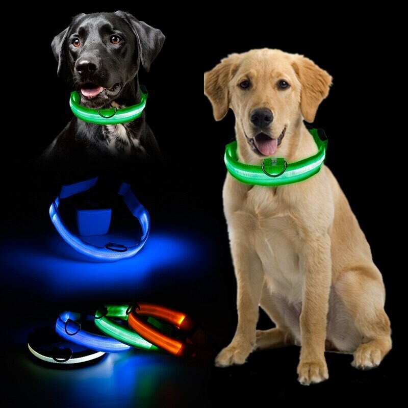 LED Glowing Dog Collar Rechargeable Luminous Collar Adjustable large Dog Night Light Collar Pet Safety Collar for Small Dogs Cat