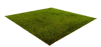Green Spring Theme (Noch Spring Meadow Flock)