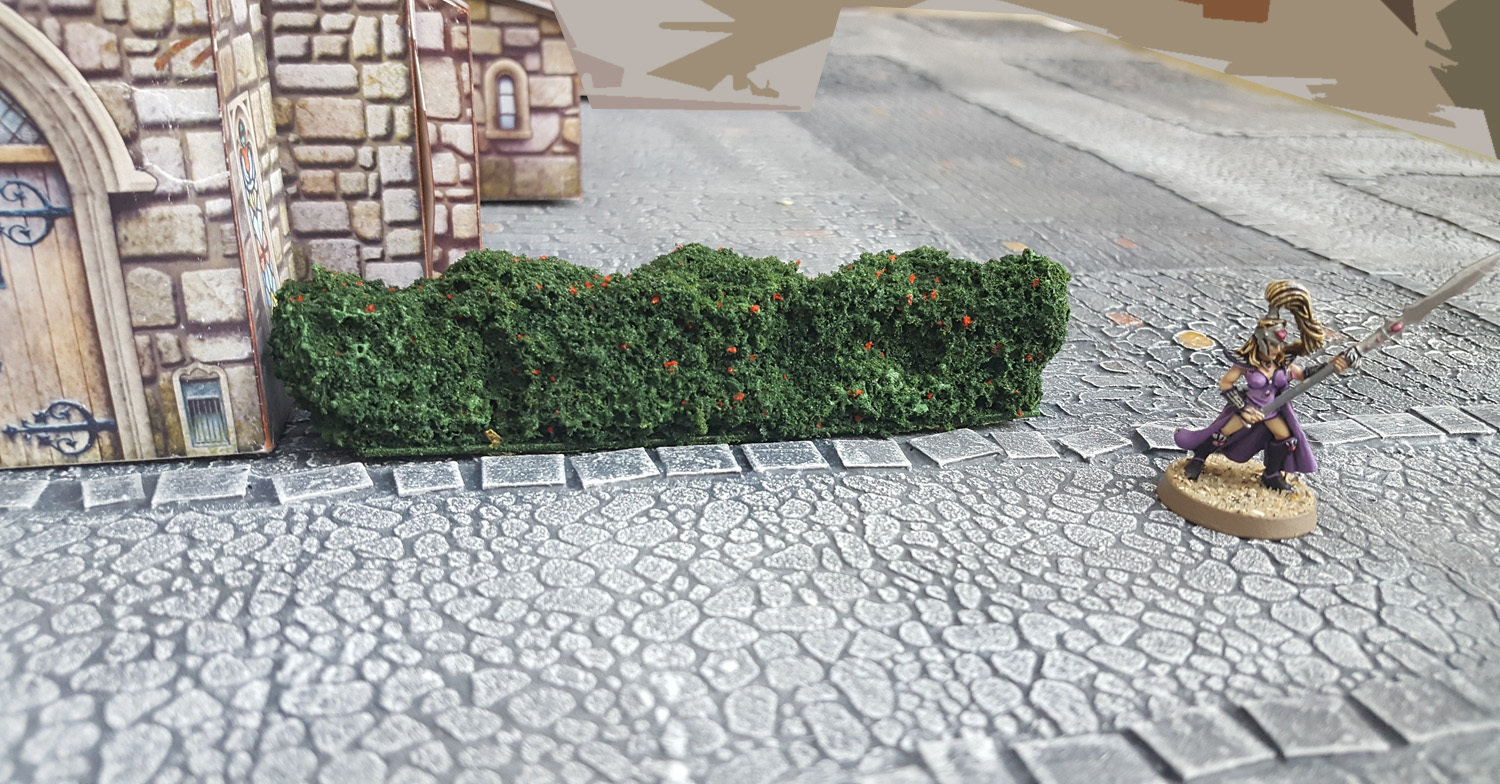 Hedge, Painted version; miniature and buildings shown for scale only