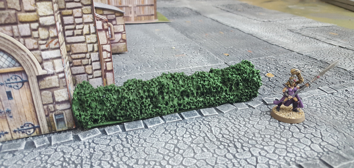 Hedge, Painted version; miniature and buildings shown for scale only
