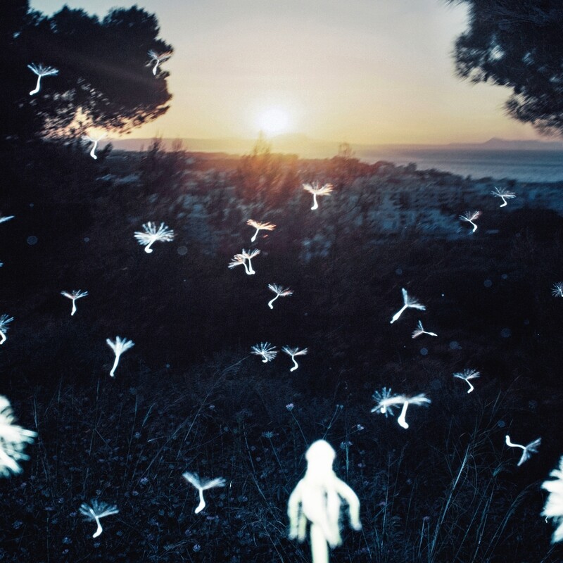 VOŁOSI 200 Weeks Ago (2023) CD