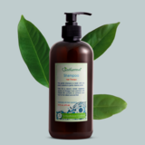 Hair Loss Therapy Shampoo / Shampoos