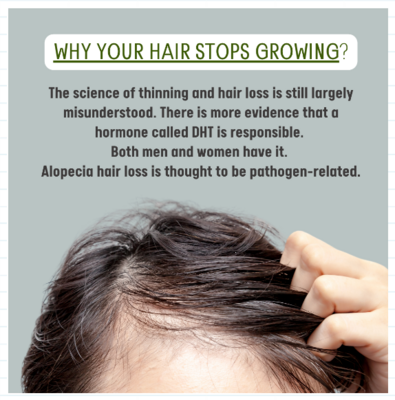 Why Your Hair Stops Growing?