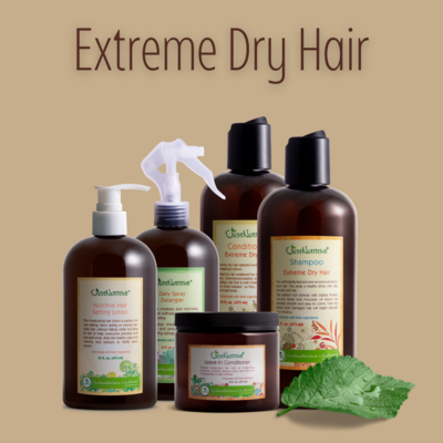 Extreme Dry Hair