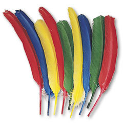 THE CHENILLE KRAFT COMPANY Quill Feathers  Assorted Colors  24 Feathers/pack; UNIT OF MEASURE: PG