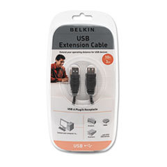 BELKIN COMPONENTS Pro Series High-Speed Usb 2.0 Extension Cable  10 Ft.; UNIT OF MEASURE: EA
