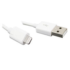 ESI Sync And Charge Cable  Apple Lightning; UNIT OF MEASURE: EA