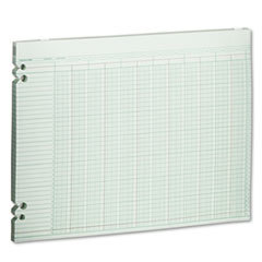 WILSON JONES CO. Accounting Sheets  20 Columns  11 X 14  100 Loose Sheets/pack  Green; UNIT OF MEASURE: PG