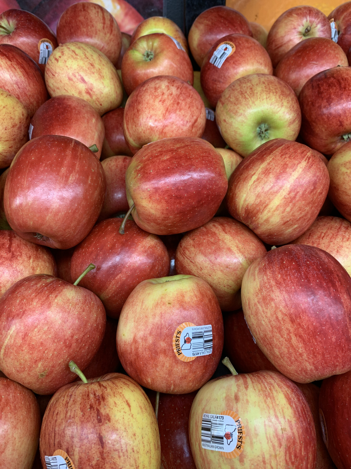 Apples, Large Royal Gala