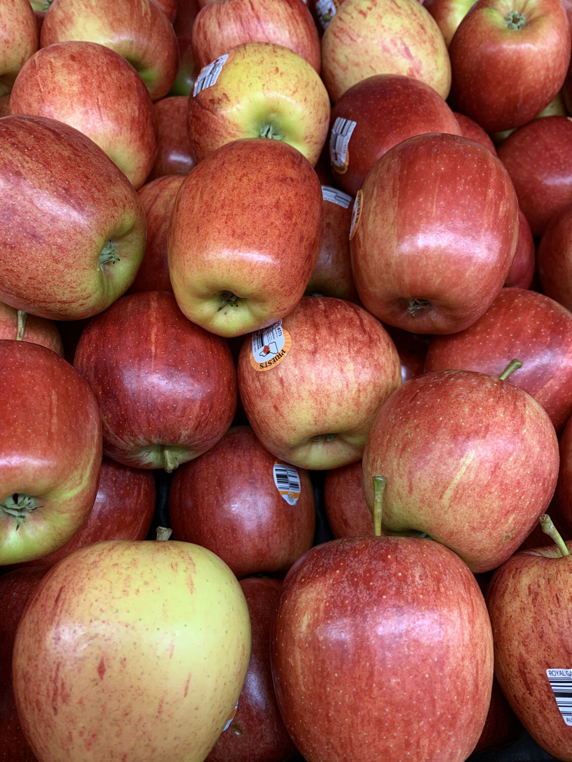 Apples, Small Royal Gala