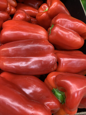 Capsicum, Red Each Large